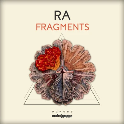 Fragments 专辑 Ra