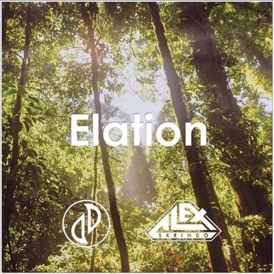 Elation 专辑 Tom Mårtensson/JJD/Tobu/Quintino & Blasterjaxx/Bonalt & Hadi