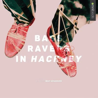 Bass Ravers in Hackney 專輯 Beat Assassins