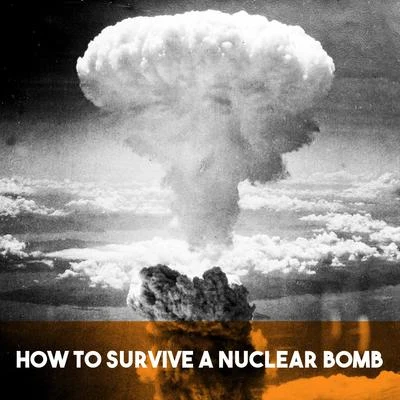 How to Survive a Nuclear Bomb 专辑 RTV Moscow Large Symphony Orchestra/Moscow RTV Large Symphony Orchestra/Vladimir Fedoseyev