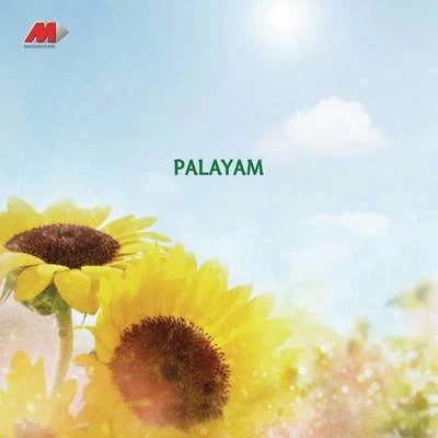 Palayam (Original Motion Picture Soundtrack) 專輯 S.P. Venkatesh/Malgudi Shubha/Sangeetha