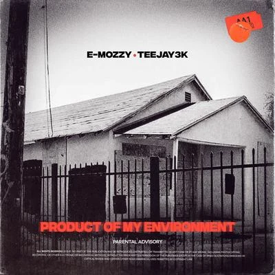 Product of My Environment 专辑 Teejay3k