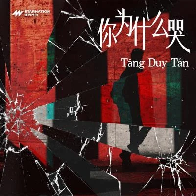 你为什么哭 专辑 Rain Radio/TruongThinh/Tăng Duy Tân