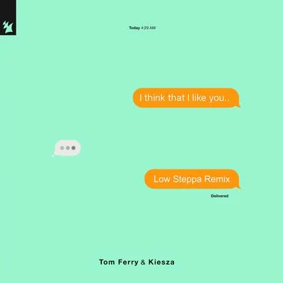 Tom Ferry I Think That I Like You (Low Steppa Remix)