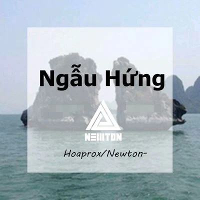 Ngẫu Hứng（Newton- Bootleg） 專輯 Newton-