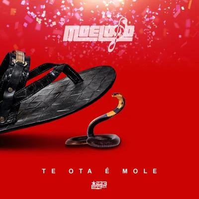 Te Ota E Mole 專輯 MoeLogo