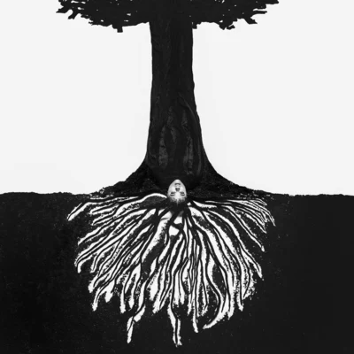 a tree planted by water 專輯 Eryn Allen Kane