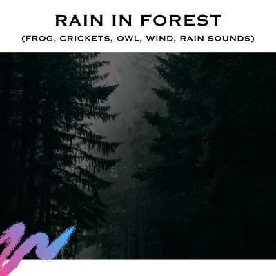 White Noise Radiance Rain in Forest (Frog, Crickets, Owl, Wind, Rain Sounds)