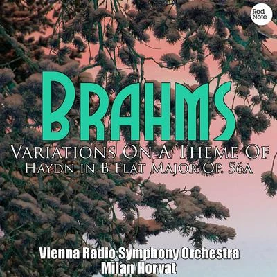 Brahms: Variations On A Theme Of Haydn in B Flat Major Op. 56a 專輯 Vienna Radio Symphony Orchestra/Enrico Caruso/Giulio Setti