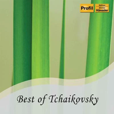 Moscow Radio Symphony OrchestraVladimir Fedoseev Best of Tchaikovsky