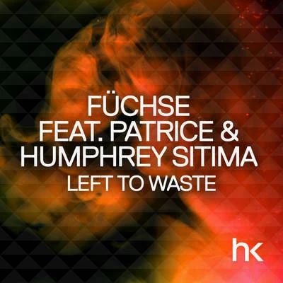 Füchse Left To Waste (Remixes)