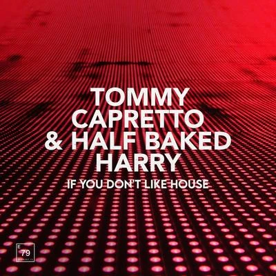 If You Dont Like House 專輯 Tommy Capretto/Cheyne Christian/IDA fLO/Livia Andrei/Valentin Ilie