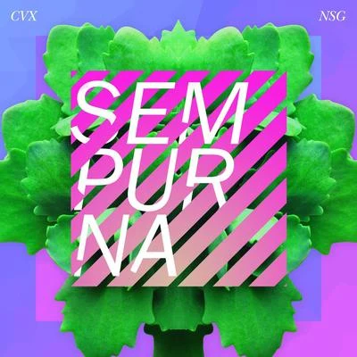 Sempurna 專輯 CVX/Fumu/Broshuda/Iueke/Yügen Disciple