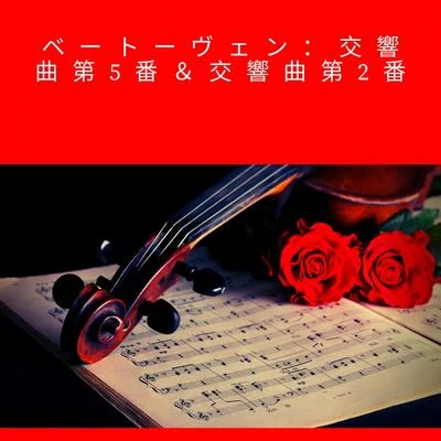 ベートーヴェン：交響曲第5番＆交響曲第2番 專輯 Herman Scherchen