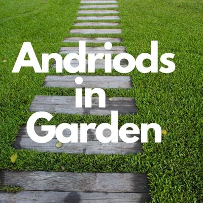 Androids In Garden 專輯 Balance/Chevy Jones