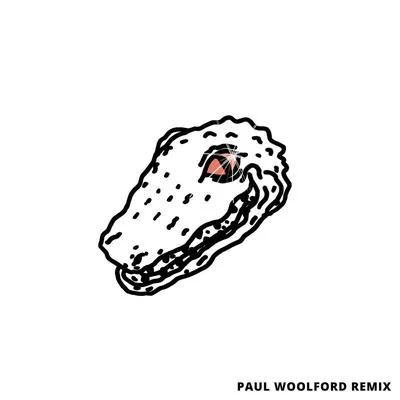 Hurricane (Paul Woolford Remix) 專輯 Paul Woolford