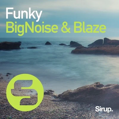 Funky 專輯 Nightlapse/BigNoise/Plumb/Sneijder/Rank 1