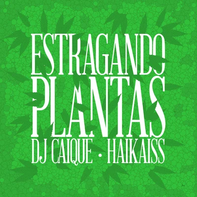 Dj Caique Estragando Plantas (Radio Mix)