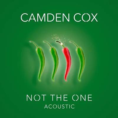 Not the One (Acoustic) 專輯 Camden Cox