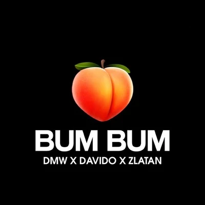 Bum Bum 专辑 HDMI/Zlatan