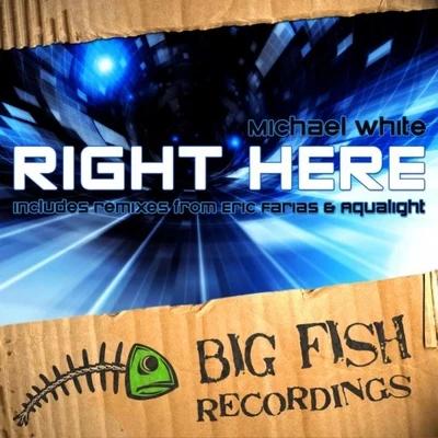 Right Here 专辑 Michael White/Spektro/Cara/Gerald Le Funk/Massive Vibes