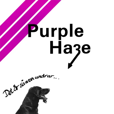 Det Är Så Man Undrar 專輯 Purple Haze