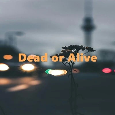 Dead or Alive (Instrumental Rap & Lofi) 專輯 Rap Lofi Beats/Chill Hip-Hop Beats