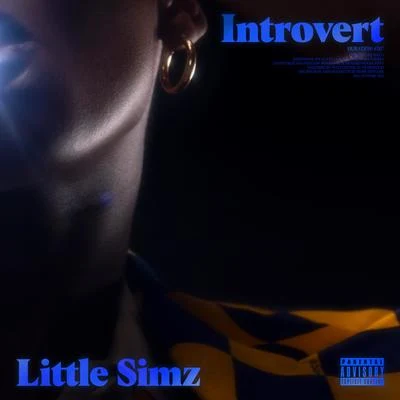 Introvert 專輯 Little Simz