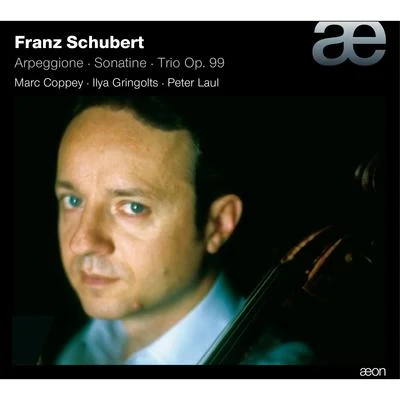 Schubert: ArpeggioneSonatinaTrio No. 1 專輯 Marc Coppey