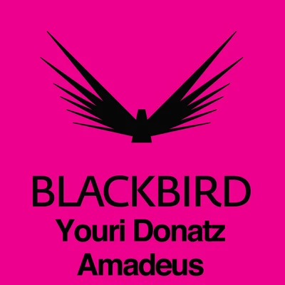 Amadeus 專輯 youri Donatz