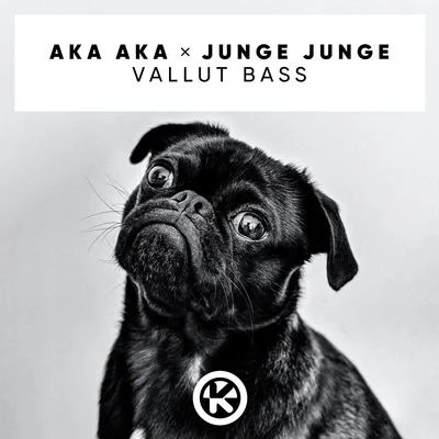 AKA AKAYouNotUs Vallut Bass