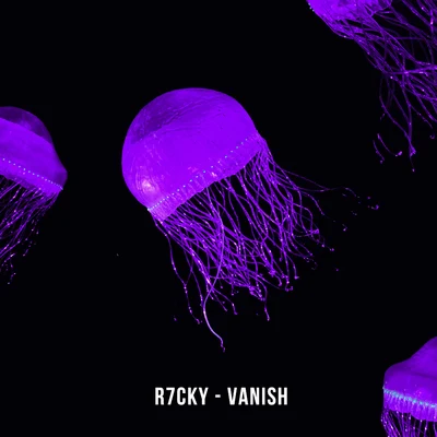 Vanish 專輯 R7CKY