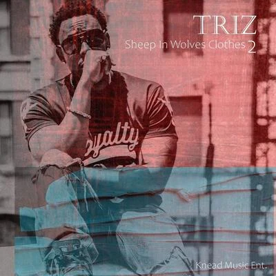 Sheep in Wolves Clothes 2 专辑 Triz/UG