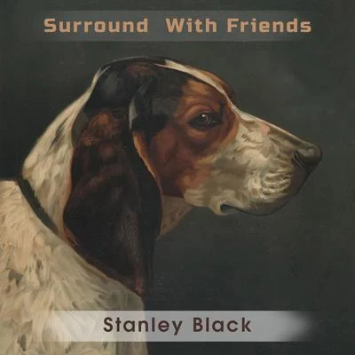 Stanley Black Surround With Friends