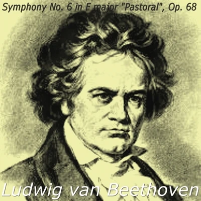 Ludwig van Beethoven: Symphony No. 6 in F major &#x27;Pastoral&#x27;, Op. 68 专辑 The Philharmonia Orchestra