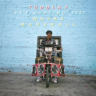 sky surfing feat Wayne Marshall (remixes) 專輯 Toddla T