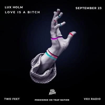 Love Is A ***** (Lux Holm Remix) 专辑 Lux Holm/Rivo/Tribe Dive