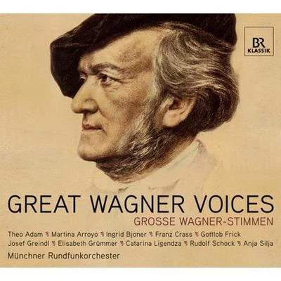 WAGNER, R.: Opera Arias (T. Adam, Arroyo, Bjoner, Crass, Frick, Greindl, Grummer, Ligendza, Schock, Silja) 专辑 Munich Radio Orchestra/Ulf Schirmer/Ulf Wallin