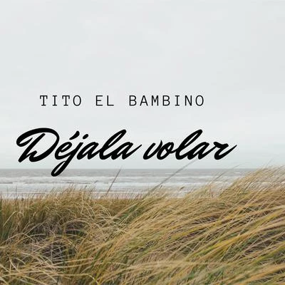 Déjala Volar 专辑 Tito el Bambino