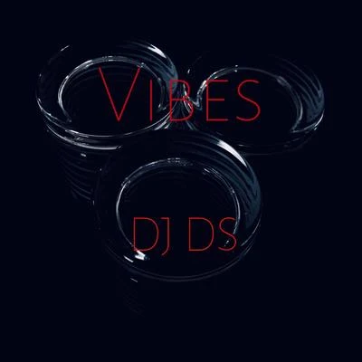 Vibes 專輯 DJ DS/MC Levin