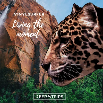 Living The Moment 专辑 Vinylsurfer