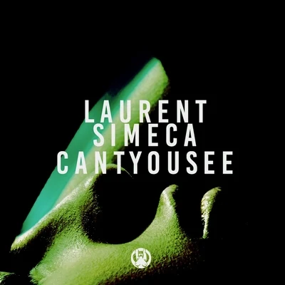 Can&#x27;t You See 专辑 Laurent Simeca