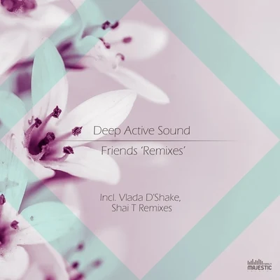 Friends 專輯 Renga Weh/Deep Active Sound/Prosper Rek/Bjorn Mandry/Lessovsky