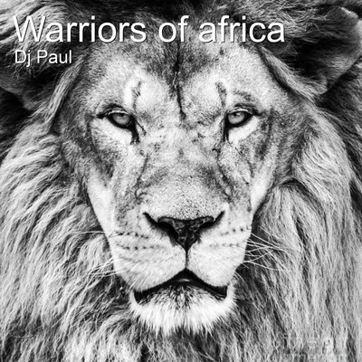 DJ PaulVadoBusta RhyemsDj Kay Warriors of Africa