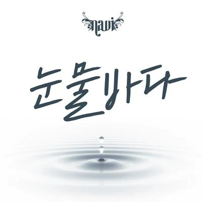 눈물바다 專輯 NAVI/泫雅/SG Wannabe/金延智/淑熙