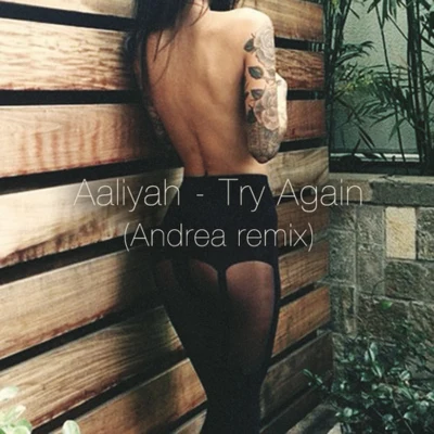 Try Again [Andrea Remix] - Single 專輯 Sunnyside Dreams/Aaliyah/Avo/T baby/Renee Mystic