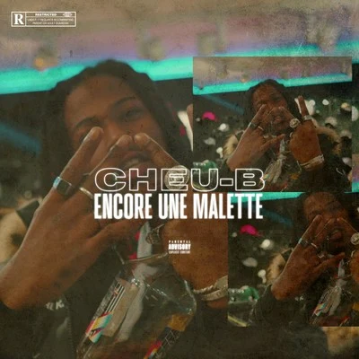 Cheu-BLetoBlack D Encore une malette