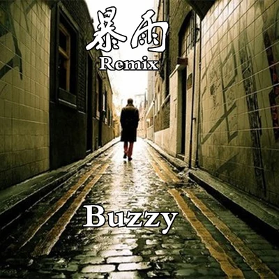 暴雨Remix 專輯 Buzzy