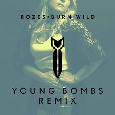 Burn Wild (Young Bombs Remix) 專輯 YOUNG BOMBS/Darius Rucker