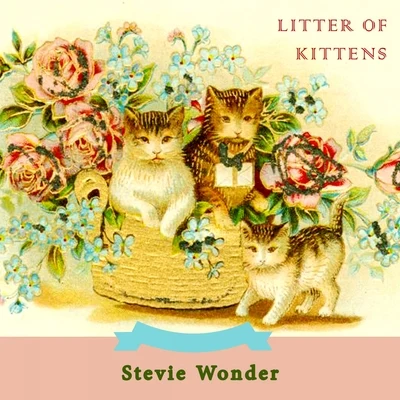 Stevie Wonder Litter Of Kittens